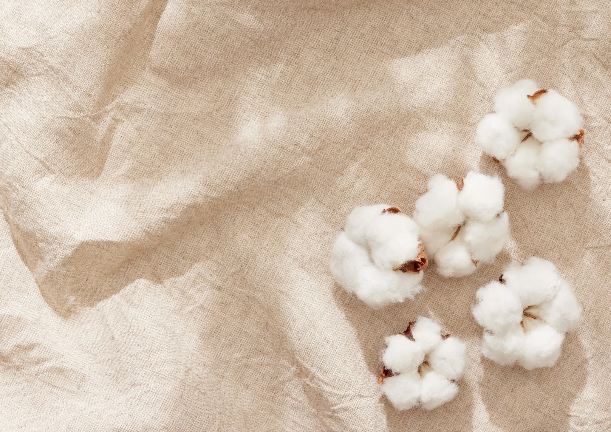 About Chanderi Fabric